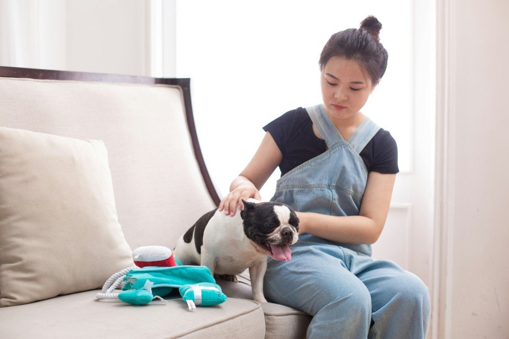 Garde de chien à domicile : professionnelle s'occupant d'un bouledogue français
